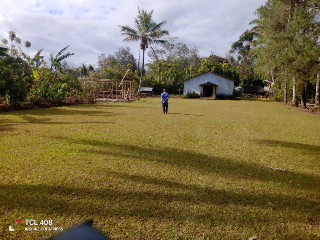 A person walking across a grassy clearing toward a small community church building with a palm tree and wooden framework nearby, surrounded by trees and hills in Akaka