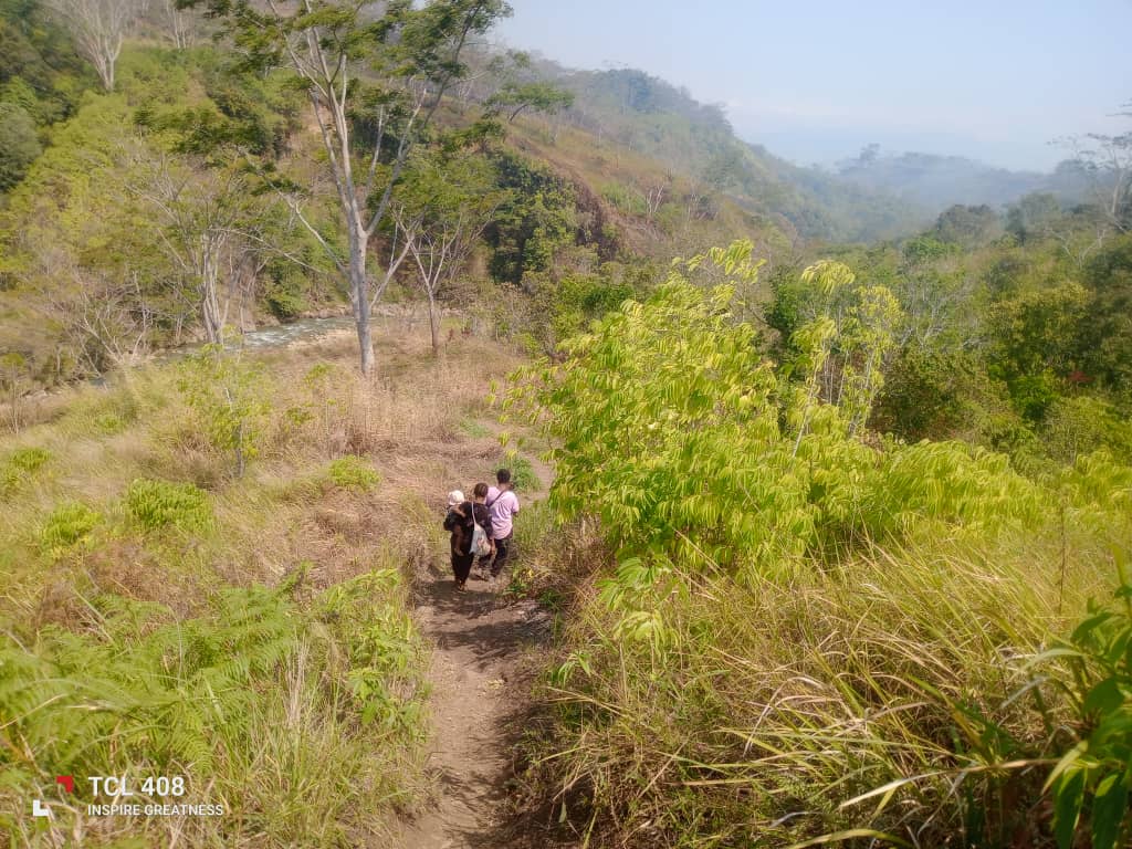 People walking along a narrow path through tall grass and trees in Kun Valley