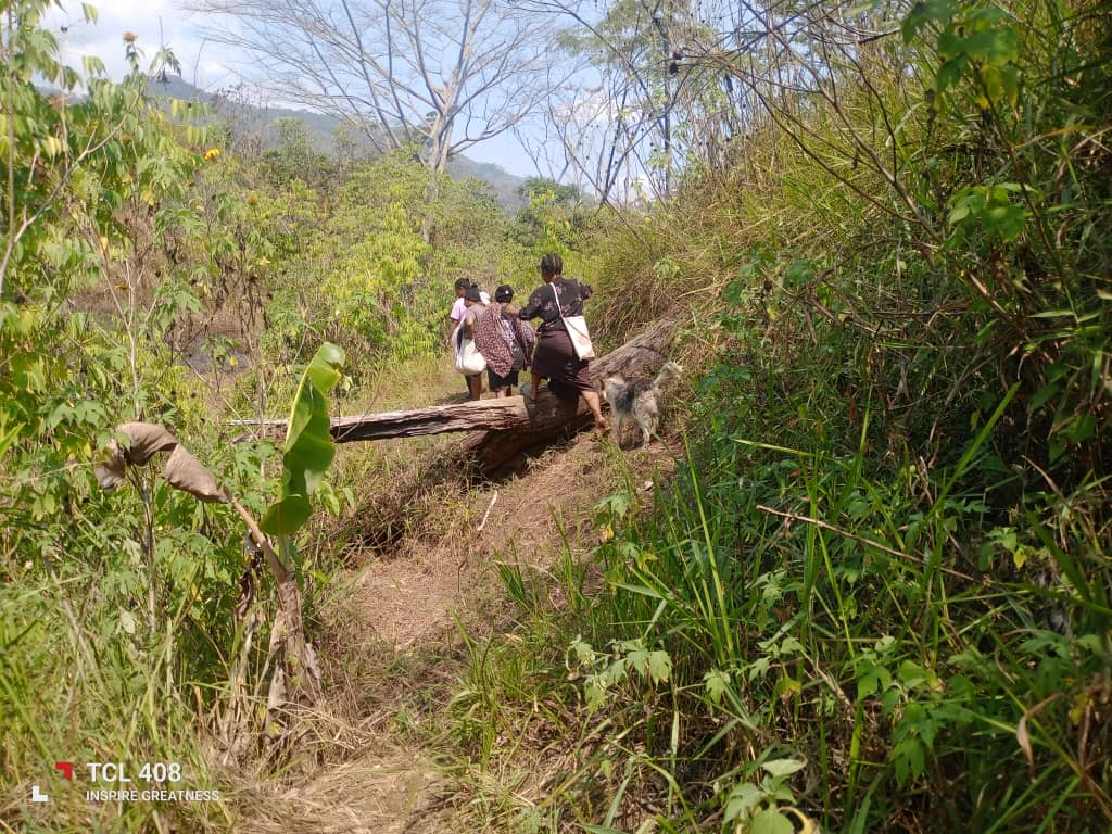 People crossing a fallen log over a stream on the way to the larger river in Kun Valley