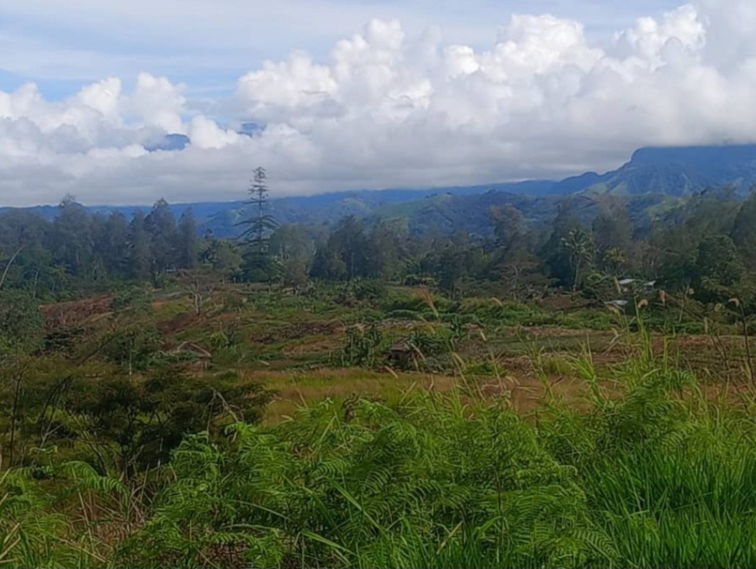 Sweeping view of the green Nebilyer Valley with mountains and cloud